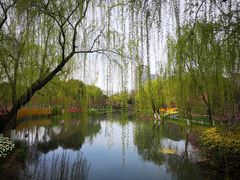 -圩墩遗址公园