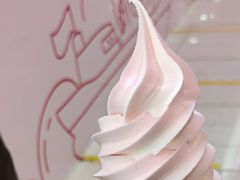 -蜜雪冰城(鸟巢店)