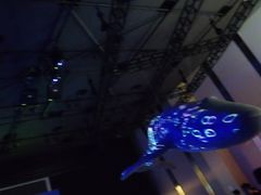 -上海环球金融中心云端足球盛典