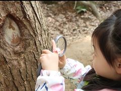 -杭州龙井幼儿园
