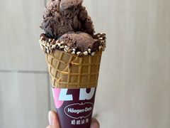 比利时巧克力品脱冰淇淋-哈根达斯(芳圆里店)