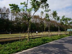 -上海长兴岛郊野公园