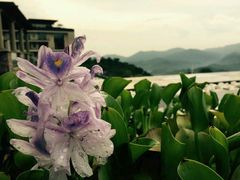 -中旅阿那亚九龙湖·公主酒店