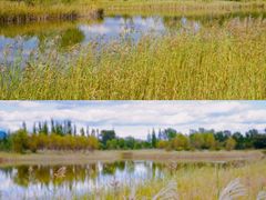 -野鸭湖国家湿地公园