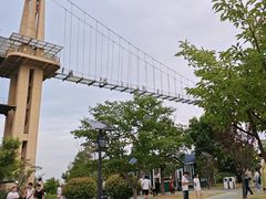 -南通鲜花小镇