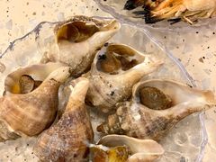 -白仁仔· 活烤海鲜 宵夜(豫园店)