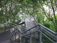 -佛山华盖山公园