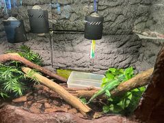 -上海大自然野生昆虫馆