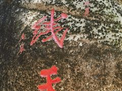 -汤旺河林海奇石景区
