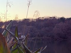 -紫霞湖公园