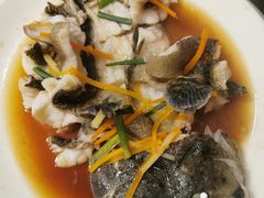 龙胆鱼-蔚海之都·象山蒸汽海鲜(仙霞路店)