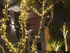 -杭州君悦酒店·青莳