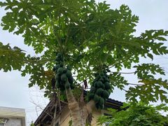 -云水谣景区