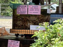 -荔城生鲜盛宴(番禺旗舰店)