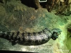 -酷嗒动物文化乐园(cutezoo西溪乐天城店)