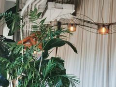 -The Rug Cafe(王府中环店)