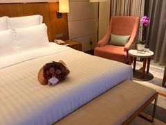 -珠海中海雅高铂尔曼酒店