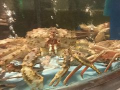 -乐在集市海鲜大排档(平潭店)
