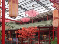 -老山东·山东菜(鲁菜名店)