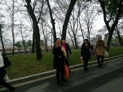 -深业半汤御泉庄温泉