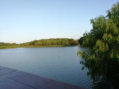 -昆山城市生态森林公园