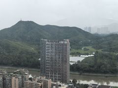 -君悦酒店·大堂酒吧·高空下午茶·暮色微醺