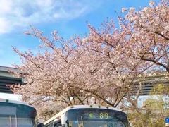 -上海南浦大桥长途旅游客运站