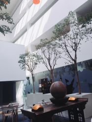 -西安威斯汀大酒店·宴会厅