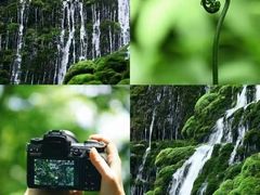 -都江堰景区