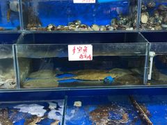 水产区-张树军海鲜(王府壹号店)