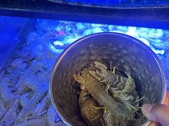 -福禧荟·海鲜自助