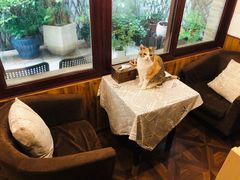 -隅cafe(傅厚岗店)