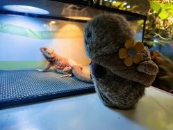 点击看大图 -酷嗒动物文化乐园(cutezoo西溪乐天城店)