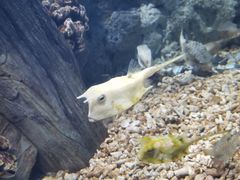 -福州罗源湾海洋世界旅游区