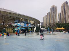 -海合安成都极地海洋公园