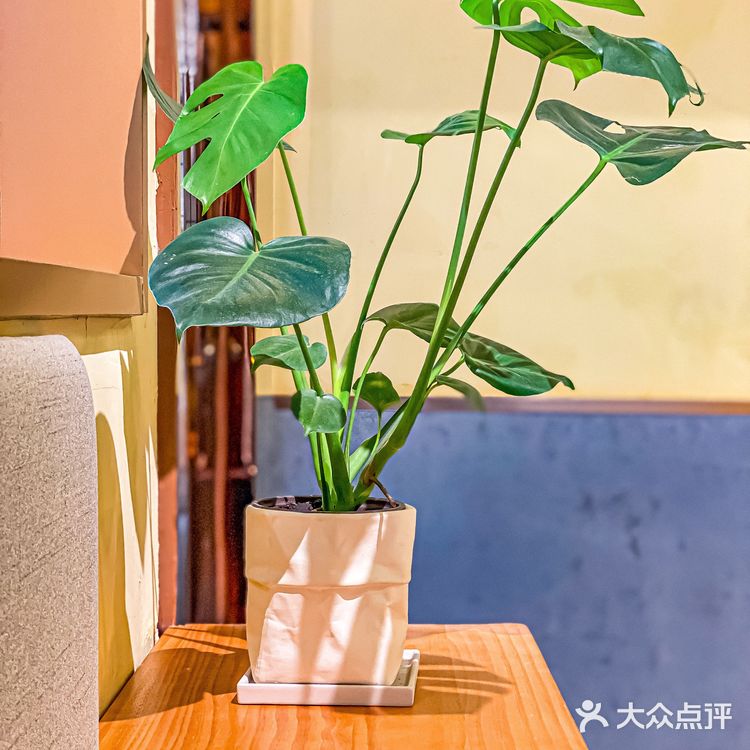 广州探店｜隐藏在居民楼下的咖啡厅☕️