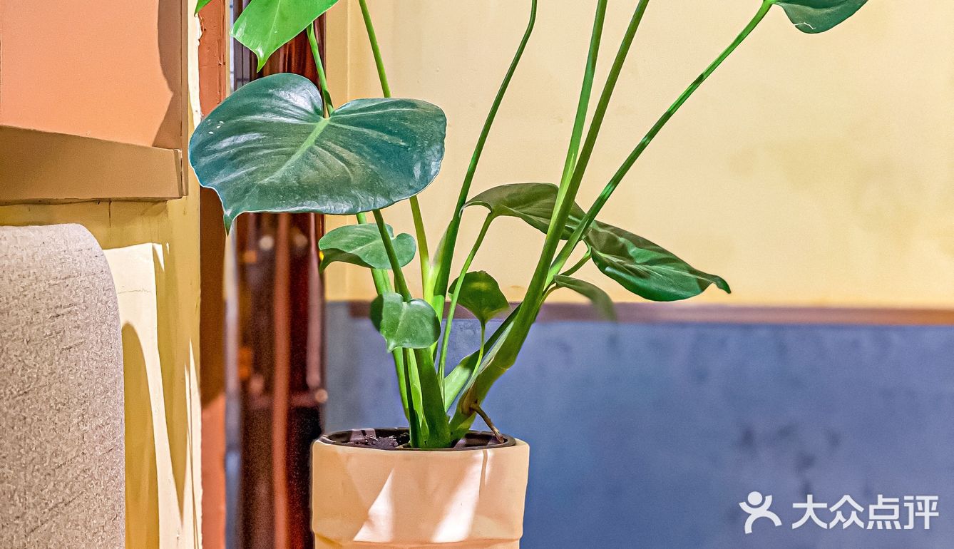 广州探店｜隐藏在居民楼下的咖啡厅☕️