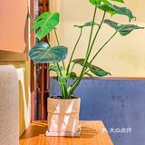 广州探店｜隐藏在居民楼下的咖啡厅☕️