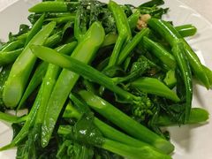 芥末炒介兰远-大庆美食·顺德鱼生顺德菜