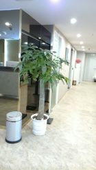 大堂-深圳原色医疗美容