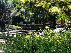 -上海市外滩历史纪念馆