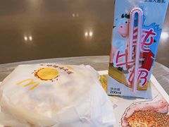 -麦当劳(金平路站店)