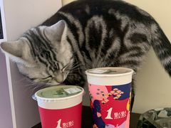 -1点点(798艺术区店)