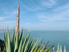 -漳州滨海火山岛自然生态风景区