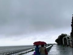 -瀛洲公园
