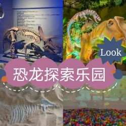 -恐龙探索乐园(磁器口店)