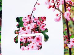 -沂蒙山旅游区龟蒙景区