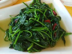 -胖大姐黄辣丁鱼庄(新津店)