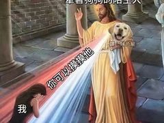 -逗柴咖啡屋·狗咖猫咖宠物桌游