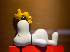 -史努比缤纷世界